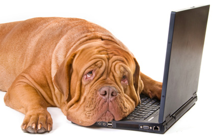 Easy to use solution to unerase deleted files
